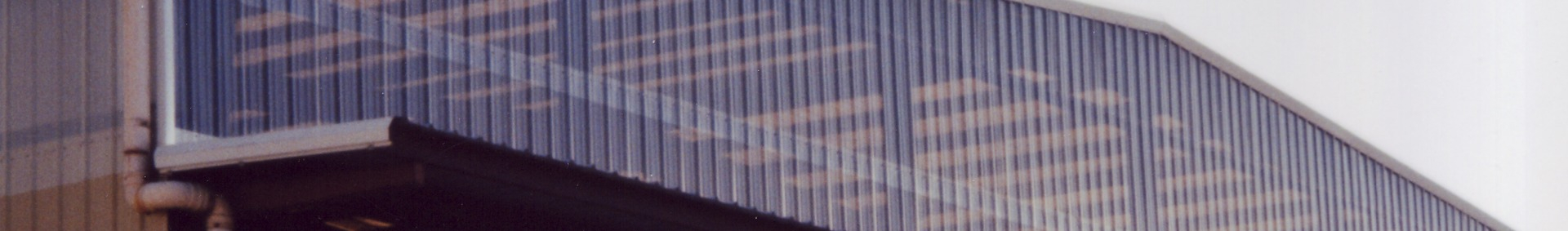 SUNSKY® - 12"